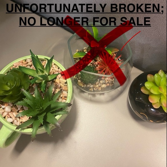 Faux Succulents Within Cute Plant Holders - Picture 5 of 6